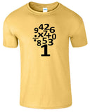 Number Day Kids T Shirt Children Boys Girls Maths Symbols School Tee - TheMonkeyTees